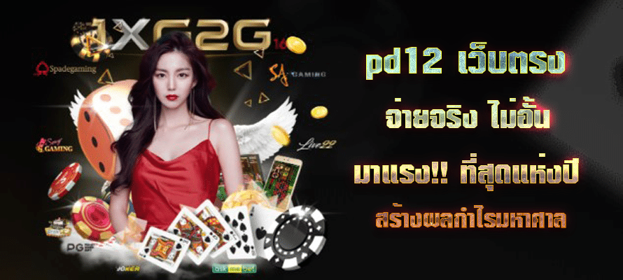 pd12 เว็บตรง จ่ายจริง ไม่อั้น มาแรงที่สุด สร้างผลกำไรมหาศาล